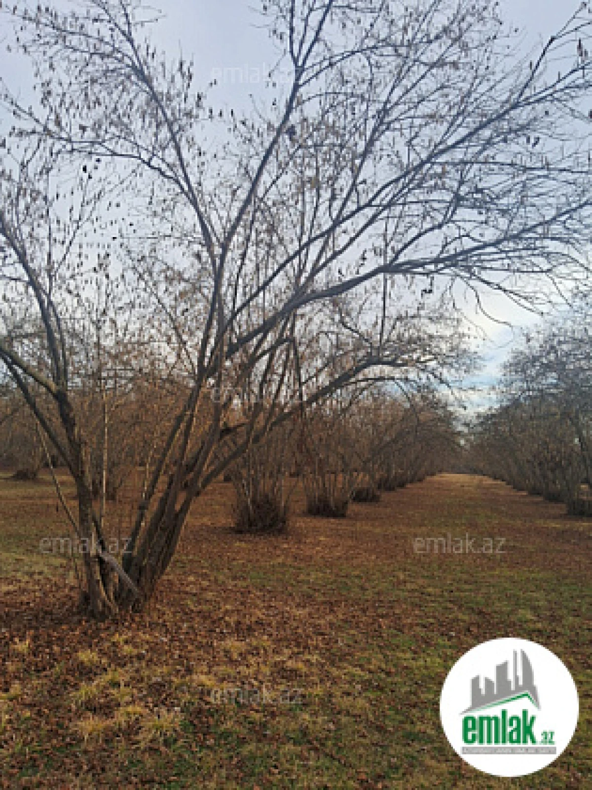 Satılır 8 otaqlı mənzil 300 m²