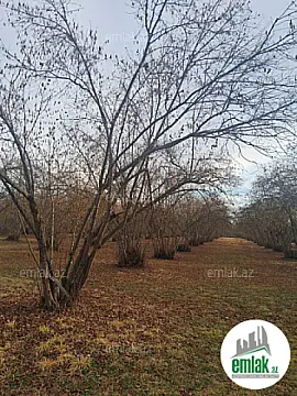 Satılır 8 otaqlı mənzil 300 m²