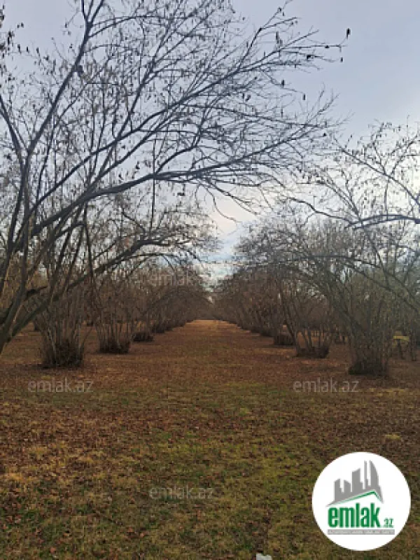 Satılır 8 otaqlı mənzil 300 m²