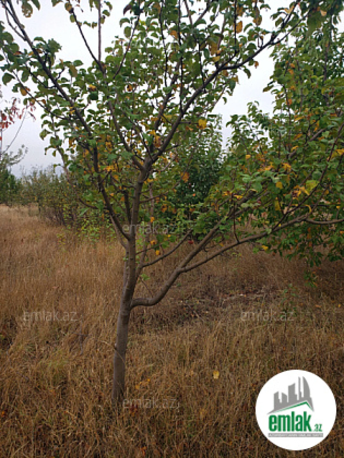 Satılır torpaq sahəsi 30 m²