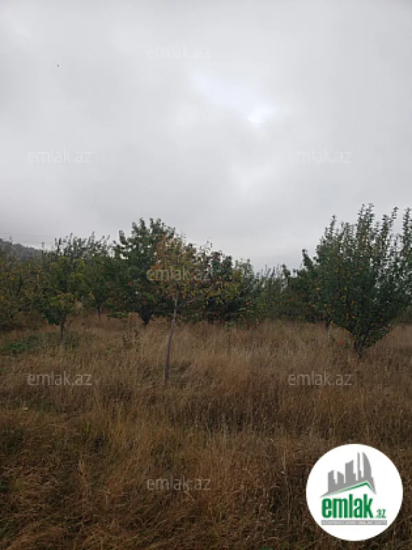 Satılır torpaq sahəsi 30 m²