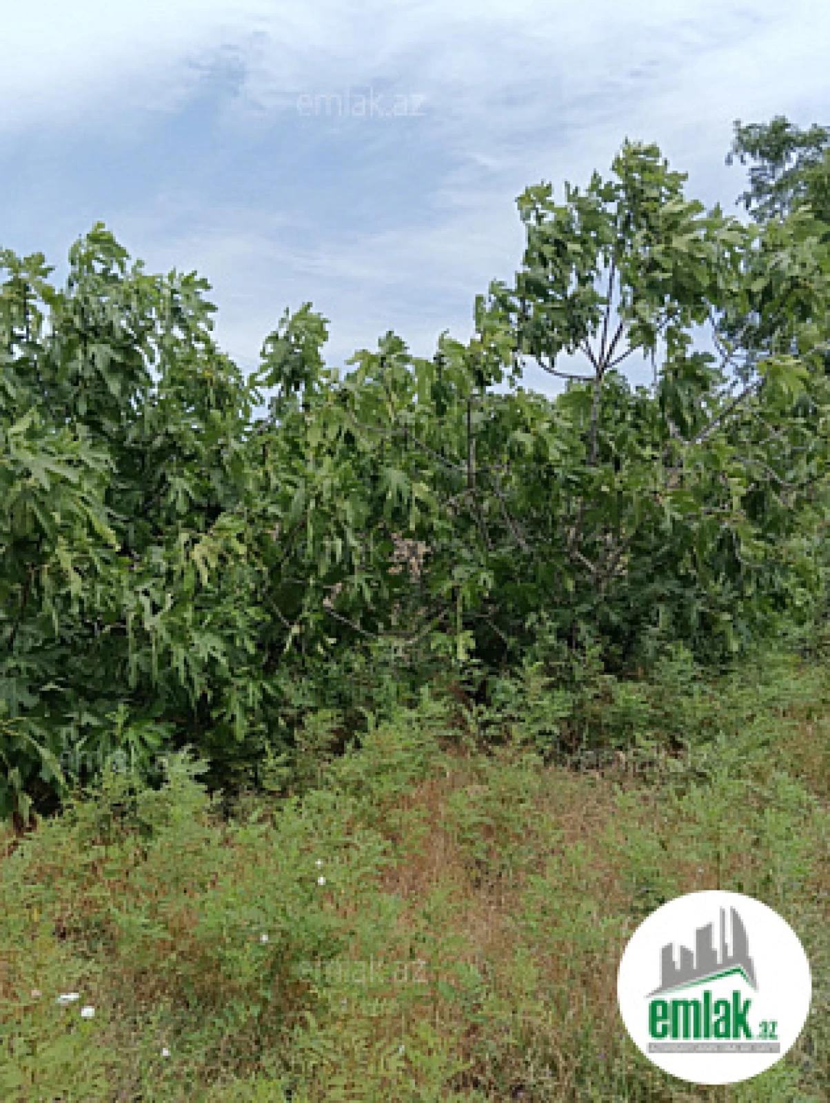 Satılır 5 otaqlı mənzil 300 m²