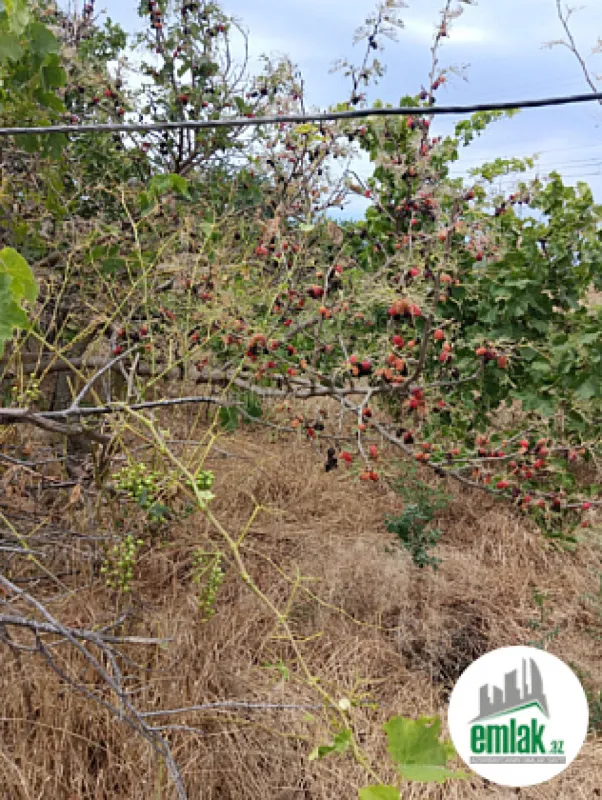 Satılır 5 otaqlı mənzil 300 m²