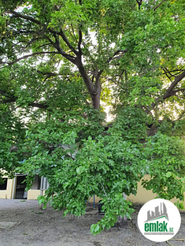 Satılır 5 otaqlı mənzil 300 m²