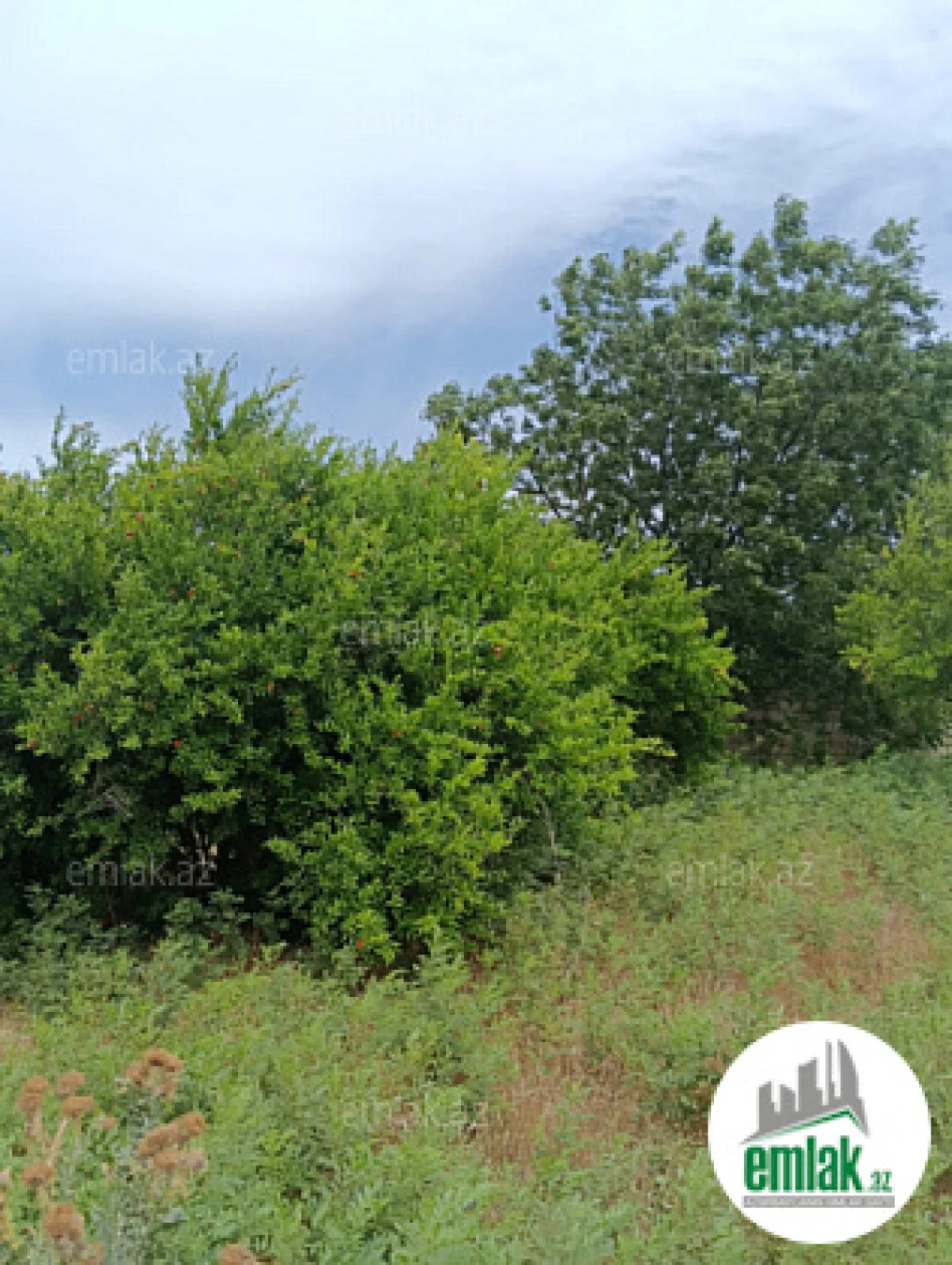 Satılır 5 otaqlı mənzil 300 m²