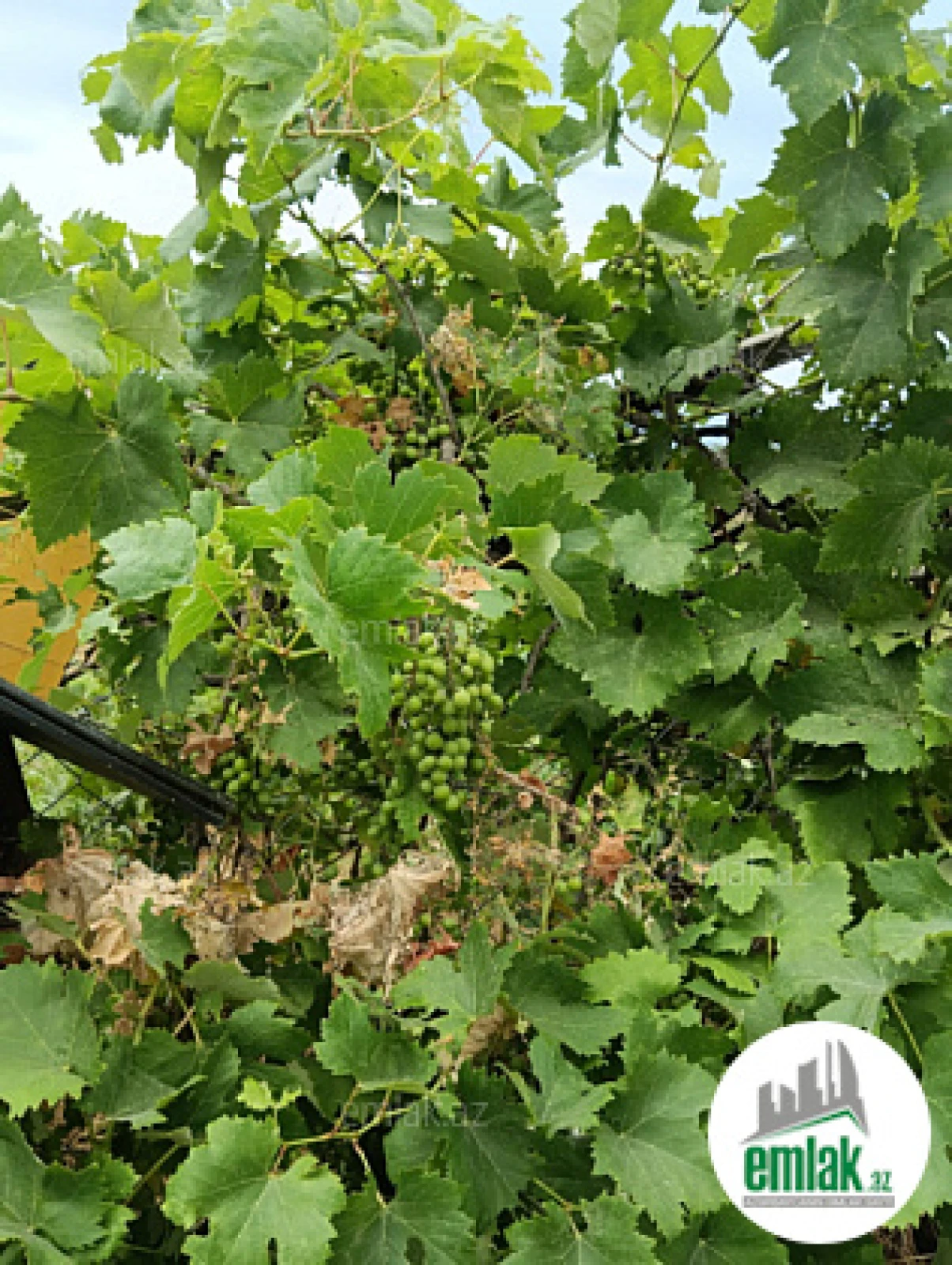 Satılır 5 otaqlı mənzil 300 m²