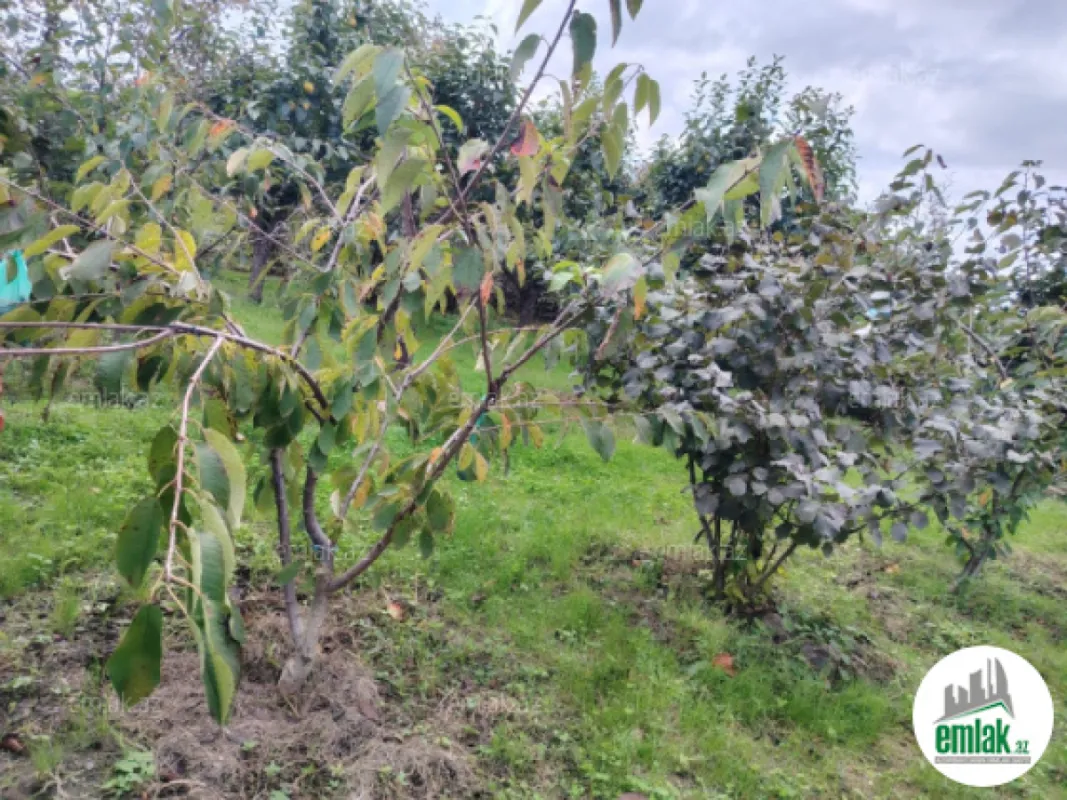 Satılır 7 otaqlı həyət evi 300 m²