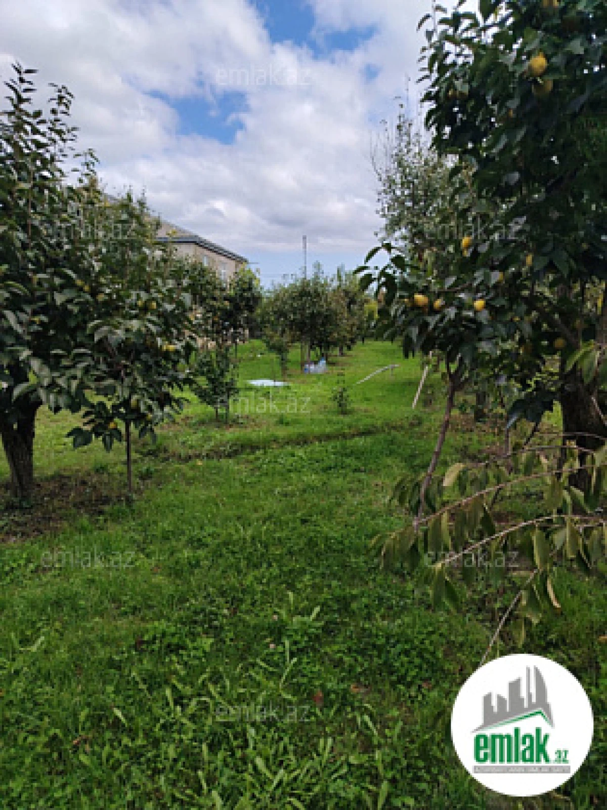 Satılır 7 otaqlı həyət evi 300 m²