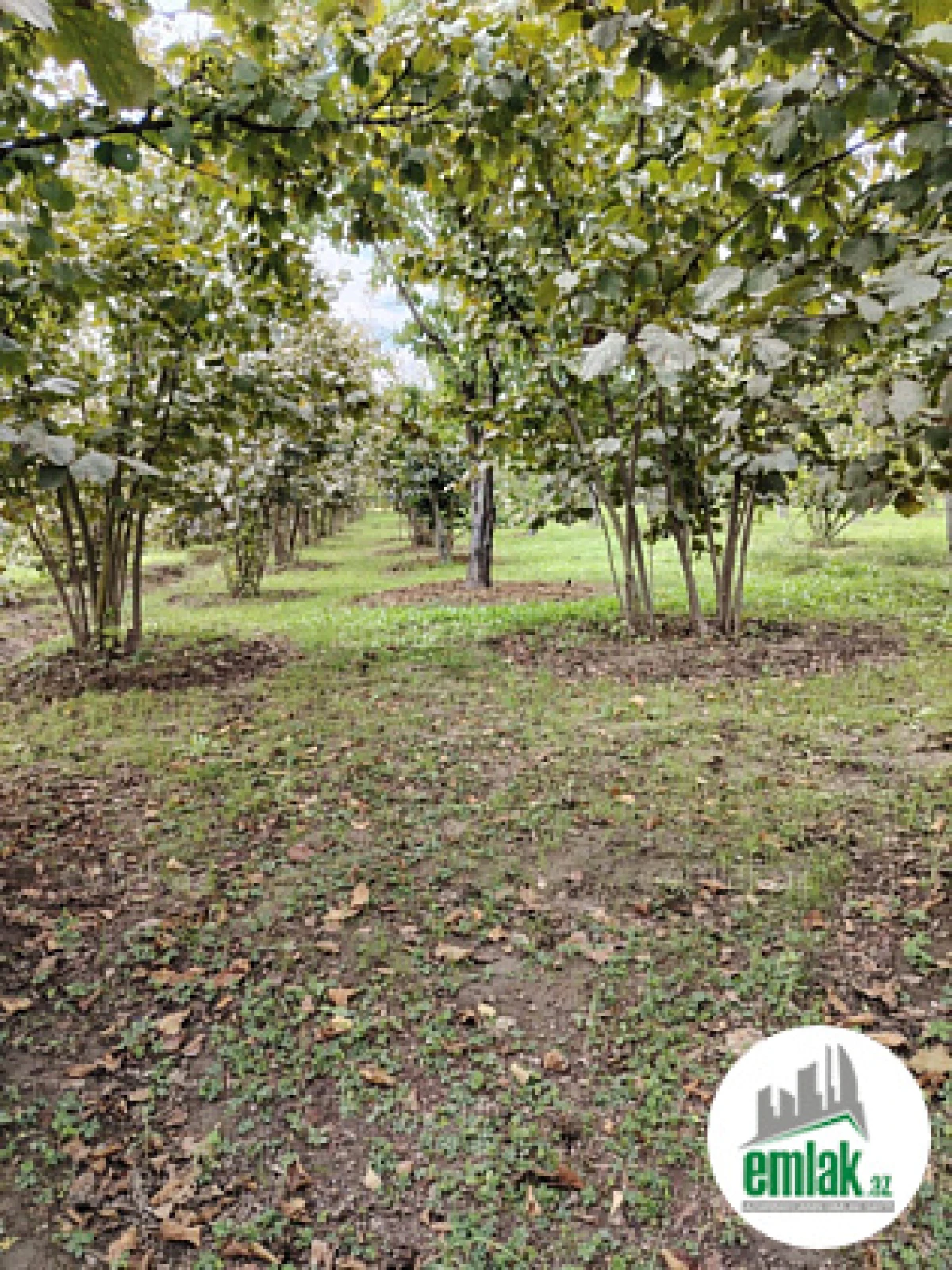 Satılır 7 otaqlı həyət evi 300 m²