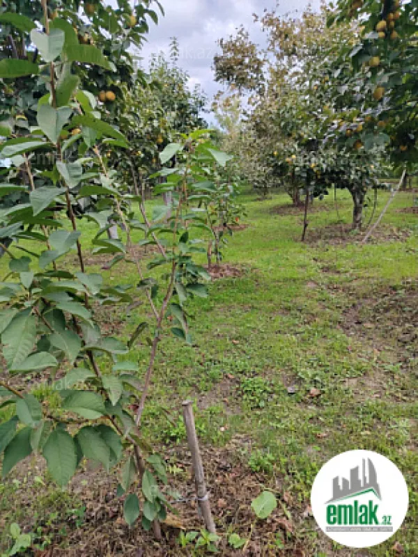 Satılır 7 otaqlı həyət evi 300 m²