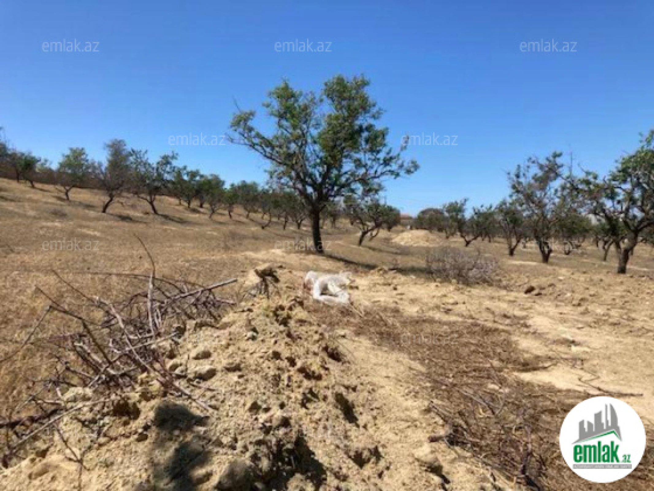 Satılır torpaq sahəsi 48 m²