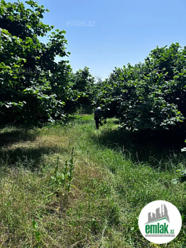 Satılır torpaq sahəsi 24 m²