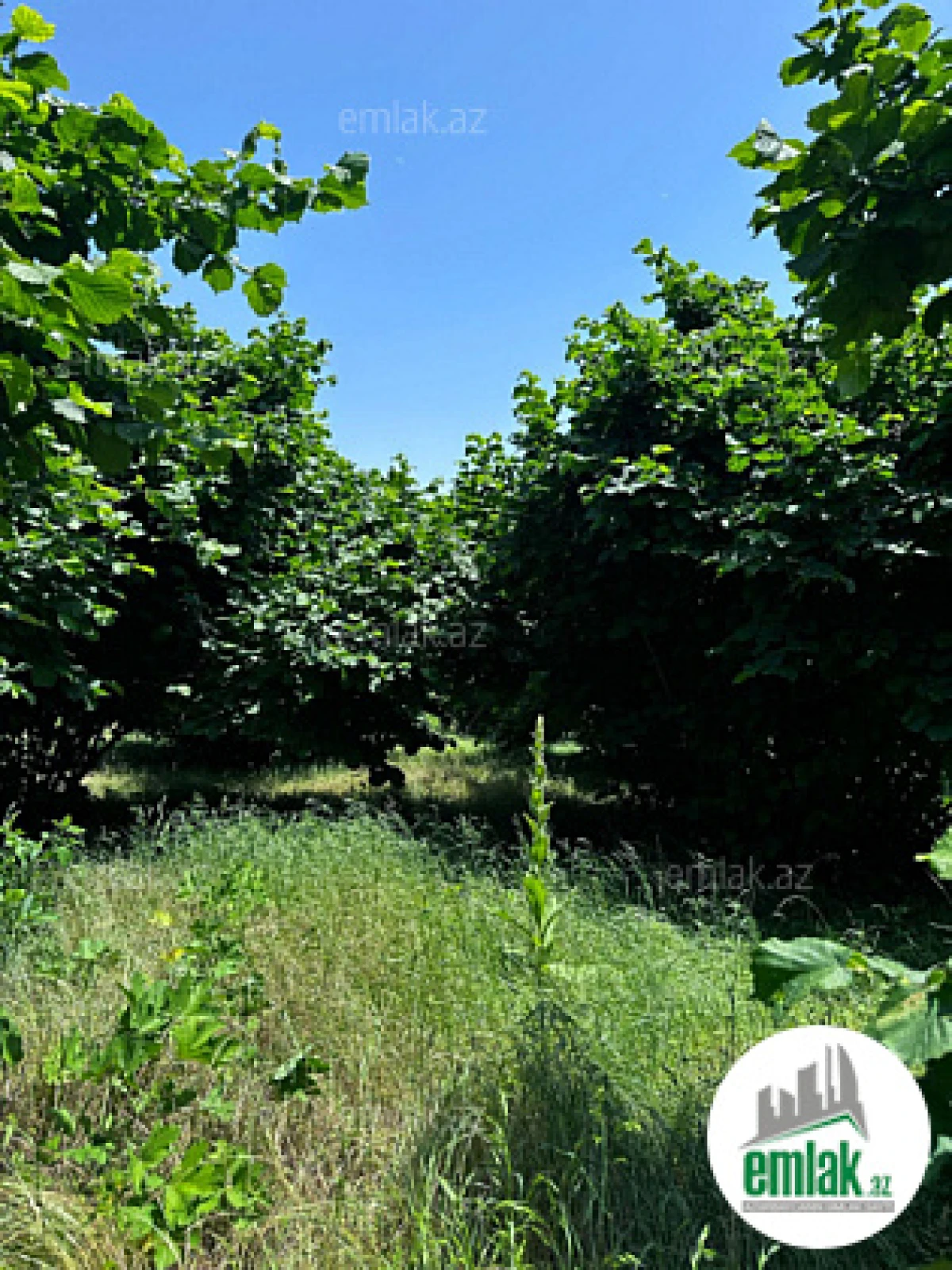 Satılır torpaq sahəsi 24 m²