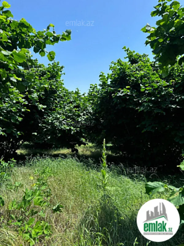 Satılır torpaq sahəsi 24 m²