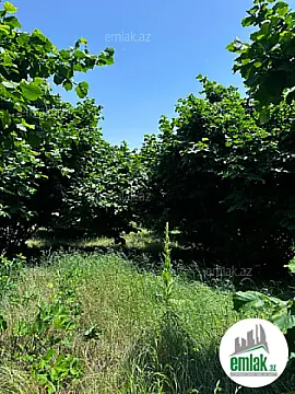 Satılır torpaq sahəsi 24 m²