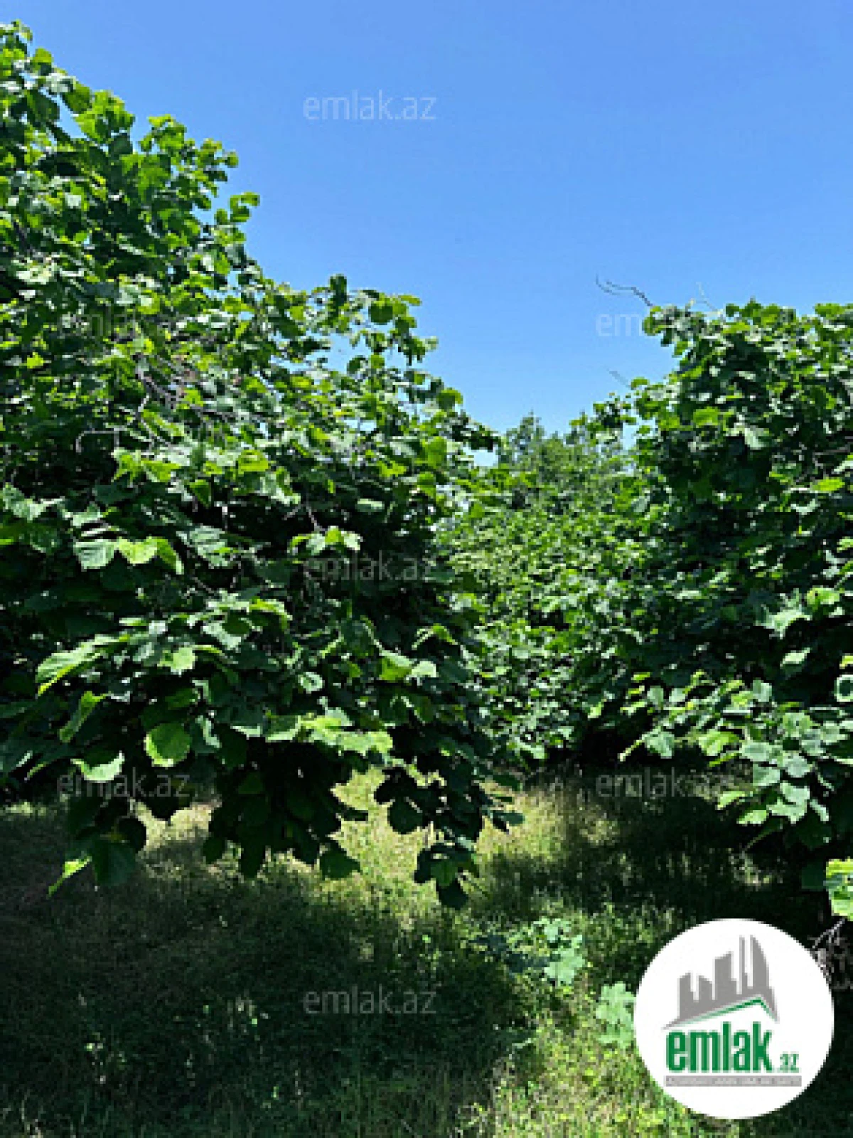 Satılır torpaq sahəsi 24 m²