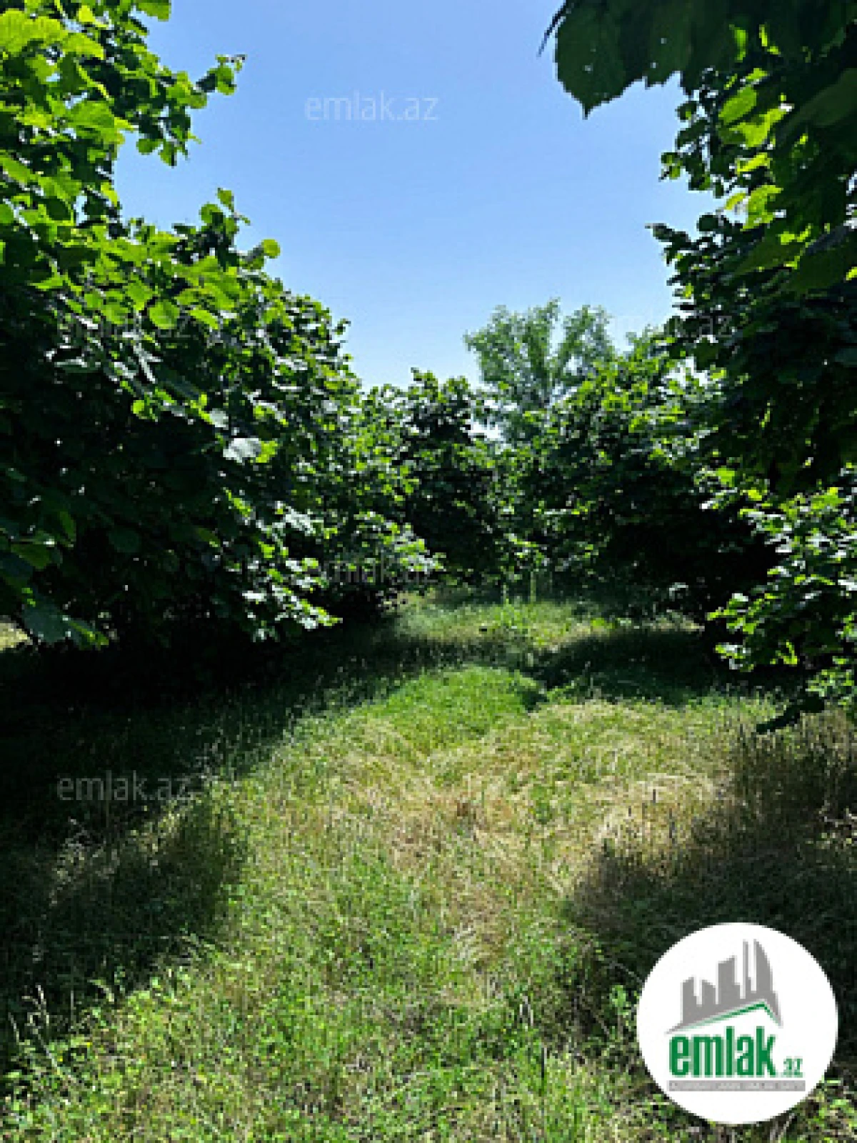 Satılır torpaq sahəsi 24 m²