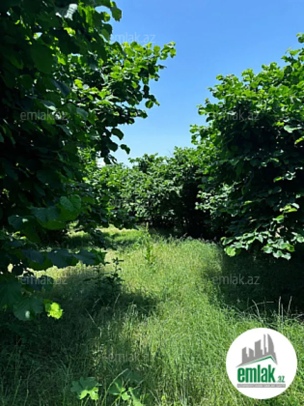 Satılır torpaq sahəsi 24 m²