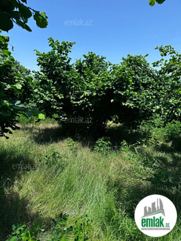 Satılır torpaq sahəsi 24 m²