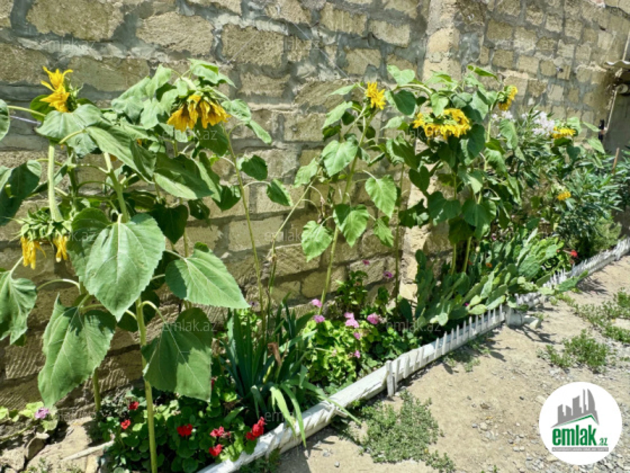 Satılır 5 otaqlı həyət evi 200 m²