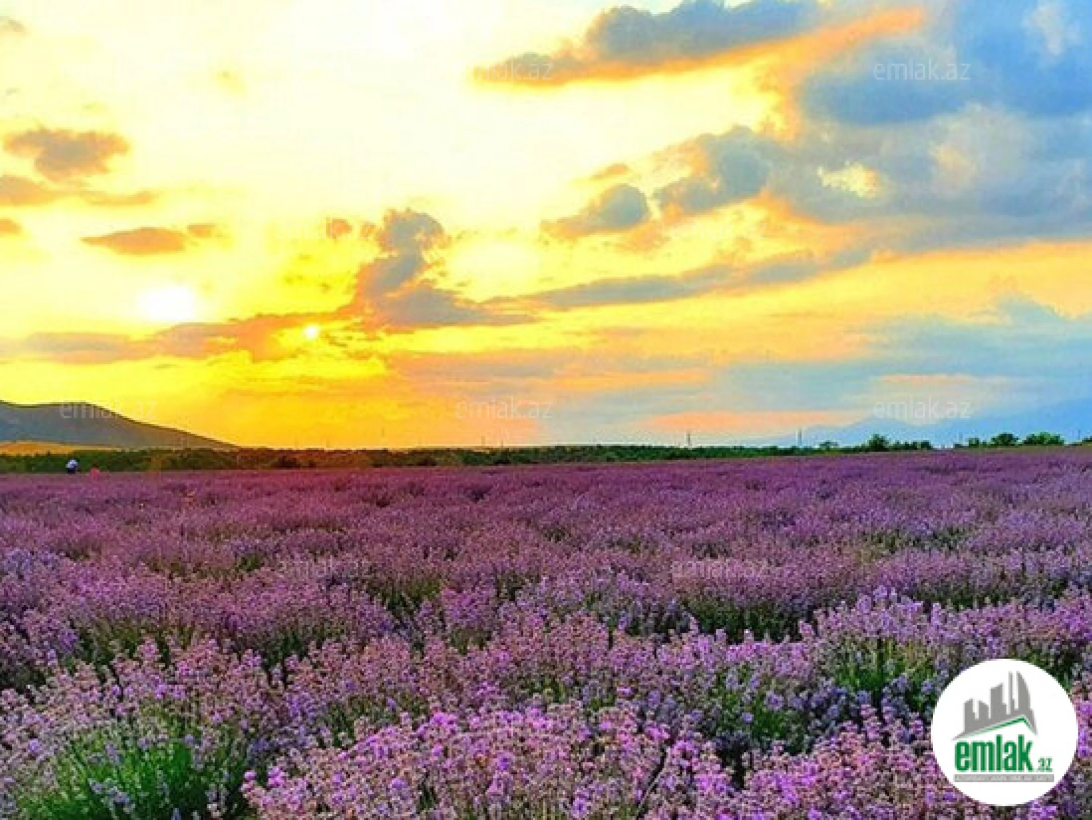 Satılır torpaq sahəsi 12 m²