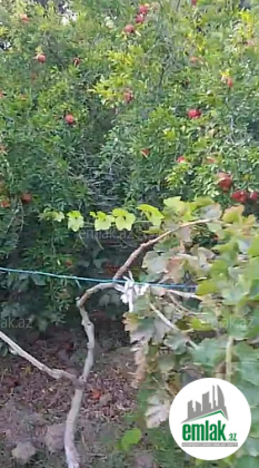 Satılır torpaq sahəsi 10 m²