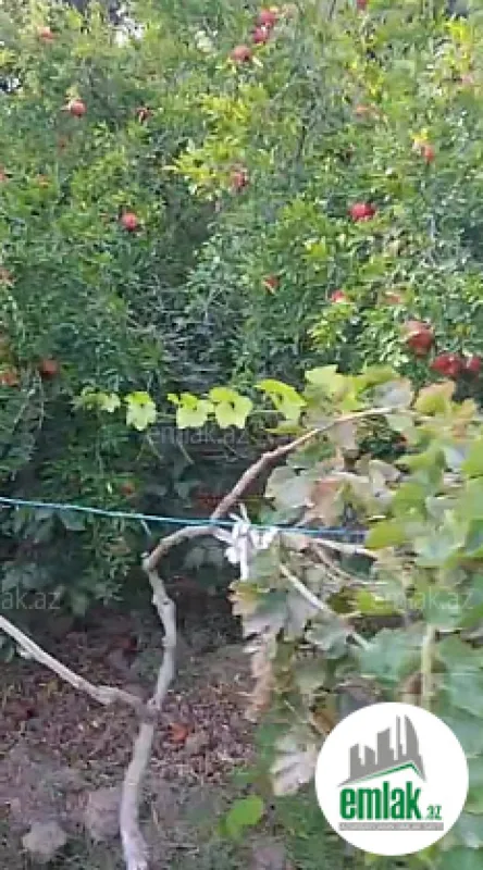 Satılır torpaq sahəsi 10 m²