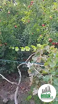 Satılır torpaq sahəsi 10 m²