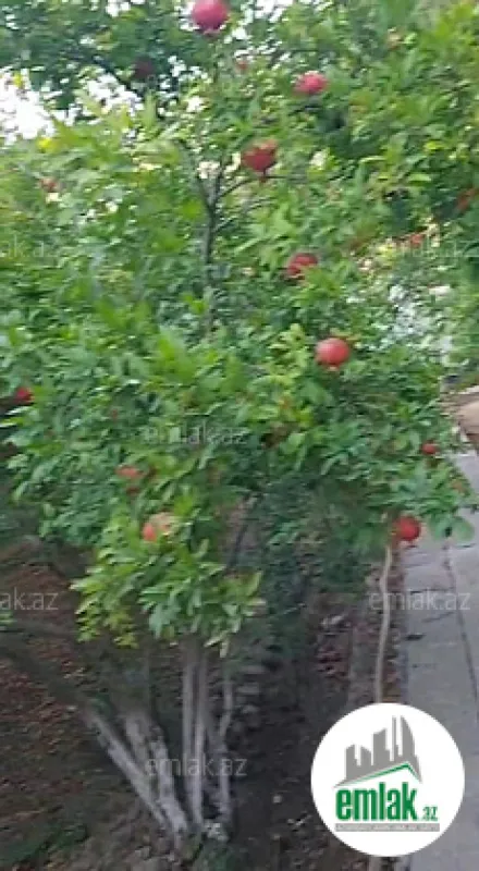 Satılır torpaq sahəsi 10 m²