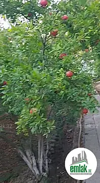 Satılır torpaq sahəsi 10 m²