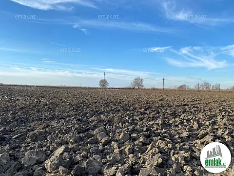 Satılır torpaq sahəsi 21500 m² — Salyan 21500.00 m²