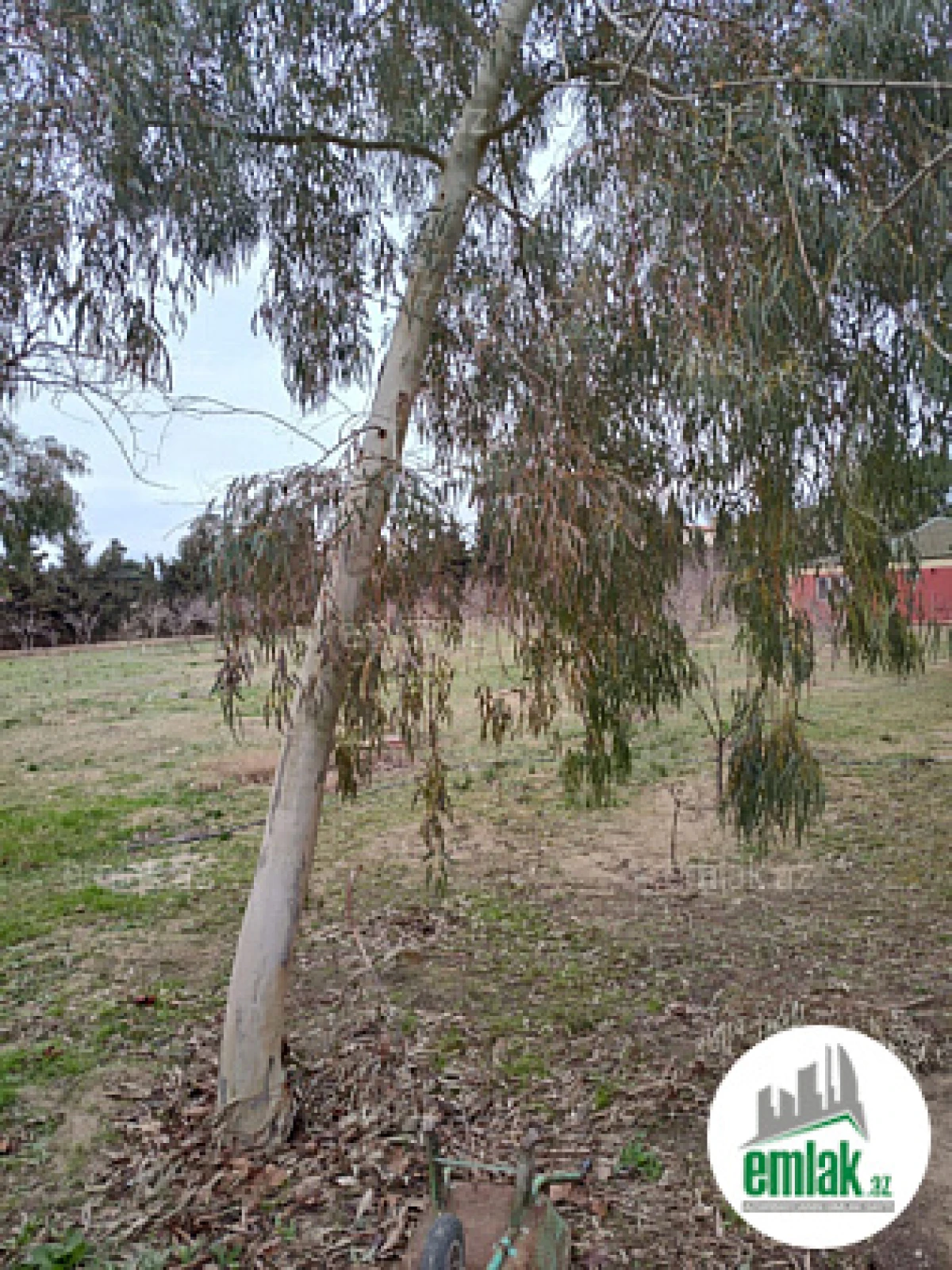 Satılır torpaq sahəsi 33.1 m²