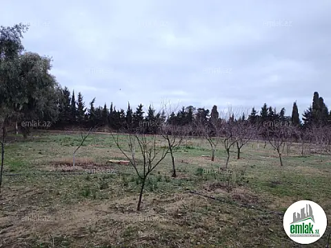 Satılır torpaq sahəsi 33.1 m²