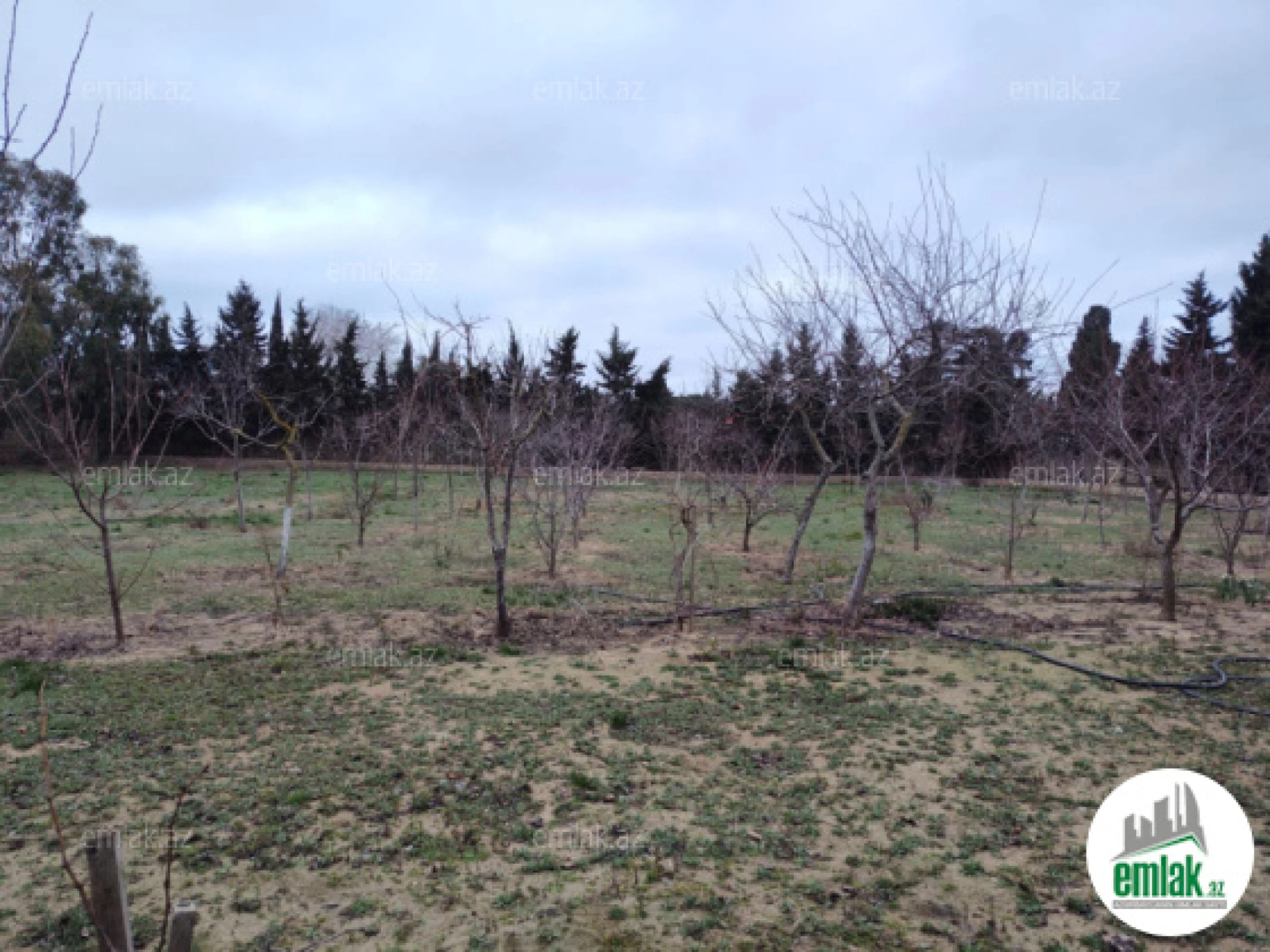 Satılır torpaq sahəsi 33.1 m²