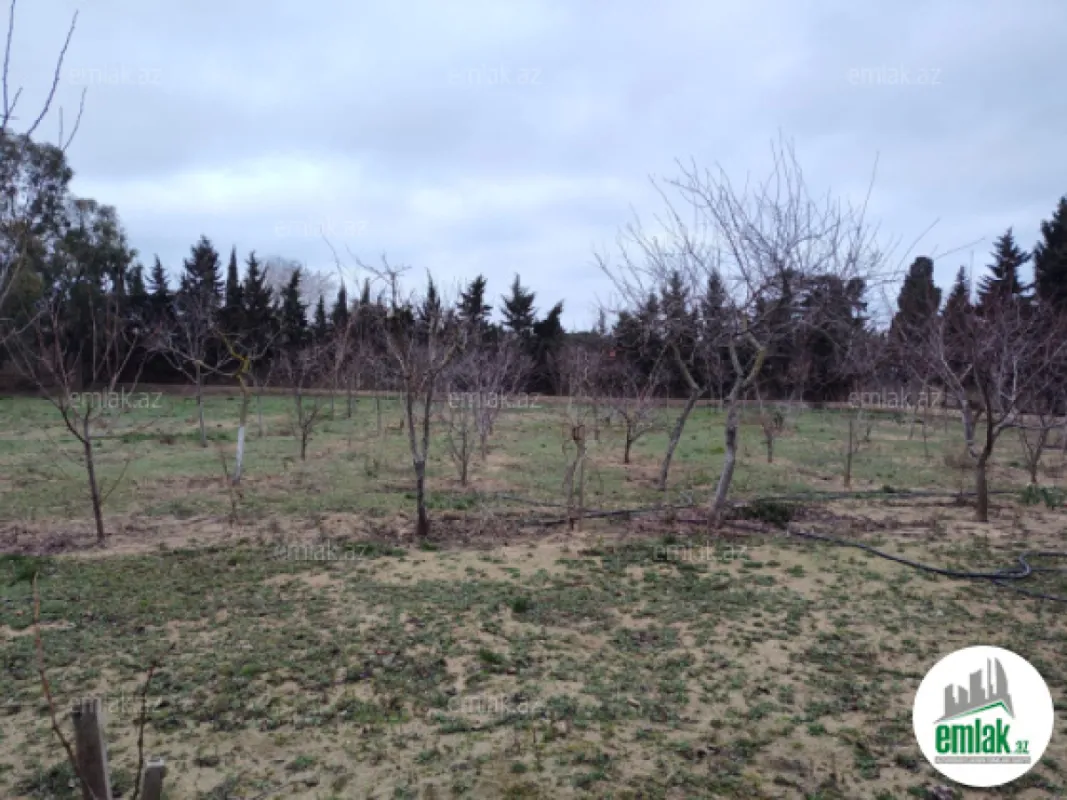 Satılır torpaq sahəsi 33.1 m²