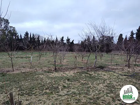 Satılır torpaq sahəsi 33.1 m²