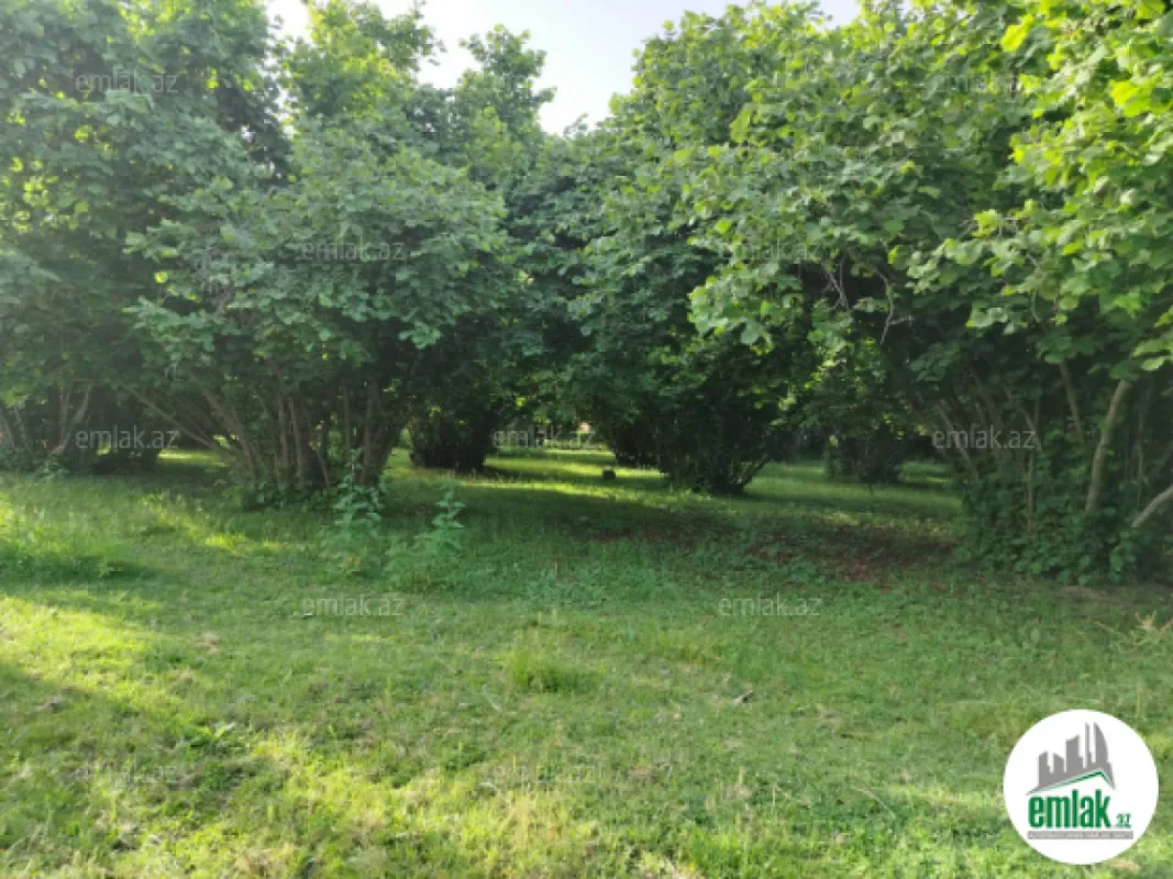 Satılır 4 otaqlı həyət evi 110.2 m²