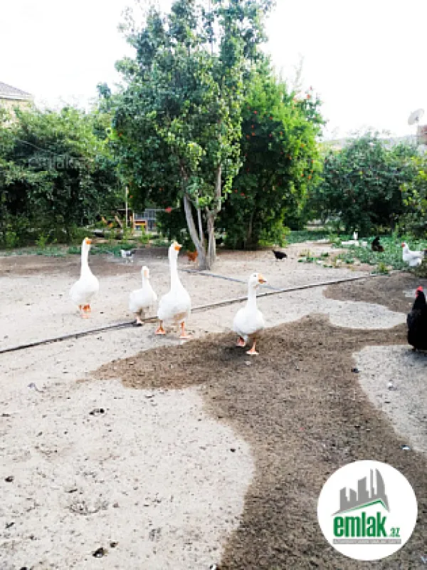 Satılır torpaq sahəsi 7 m²