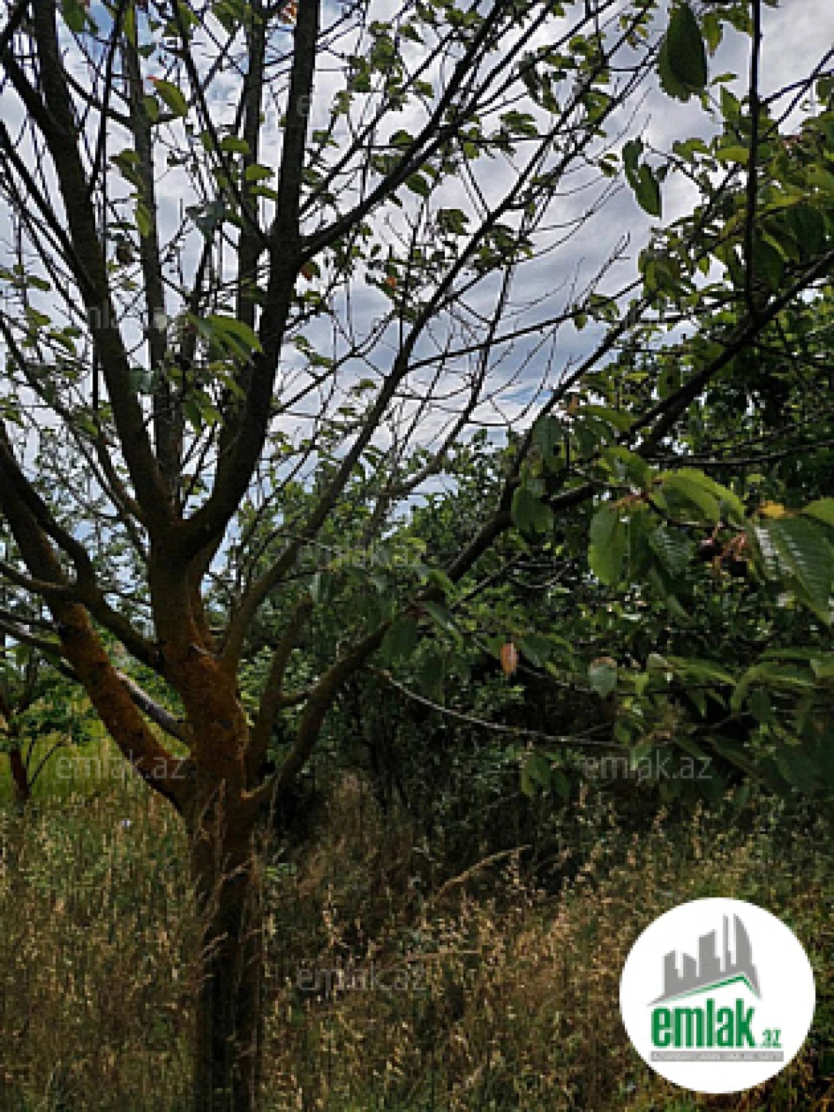 Satılır torpaq sahəsi 150 m²