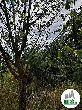 Satılır torpaq sahəsi 150 m²