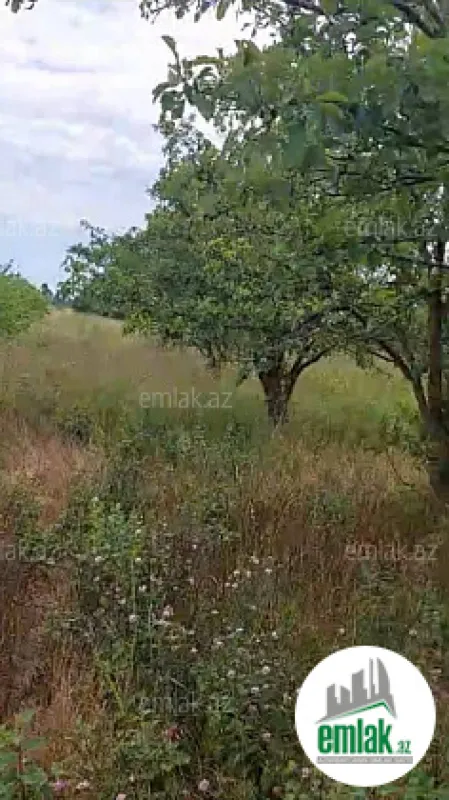 Satılır torpaq sahəsi 150 m²
