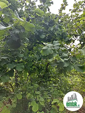 Satılır torpaq sahəsi 150 m²