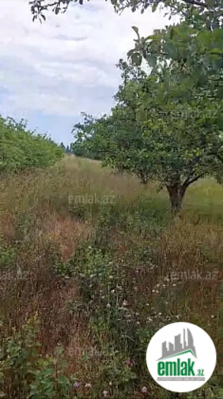 Satılır torpaq sahəsi 150 m²