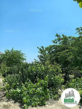 Satılır 3 otaqlı mənzil 12 m²