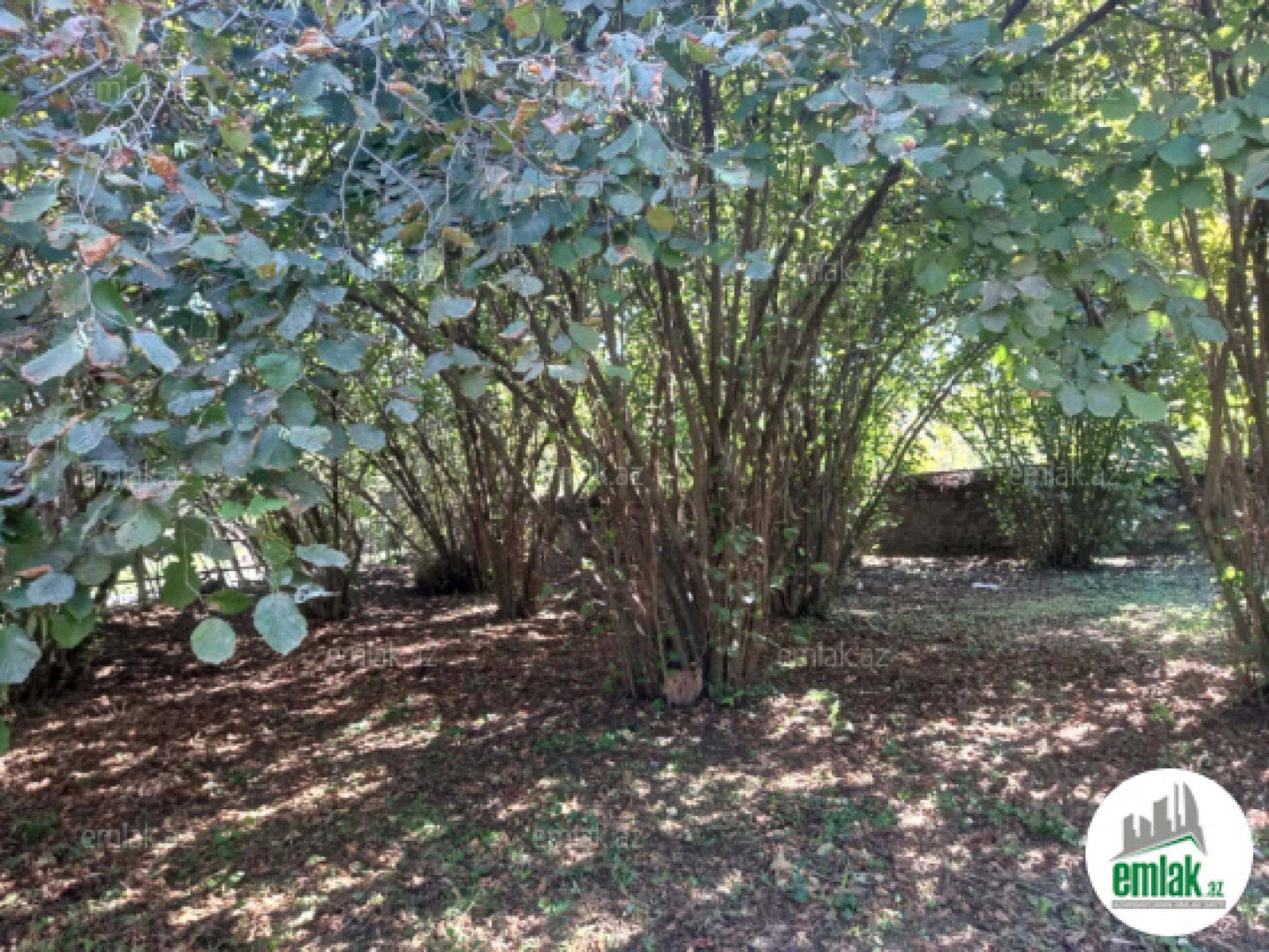 Satılır 2 otaqlı həyət evi 55 m²