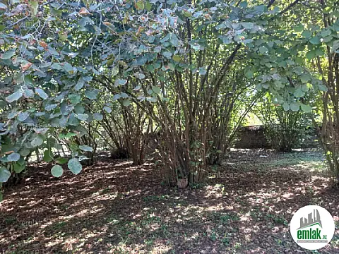 Satılır 2 otaqlı həyət evi 55 m²