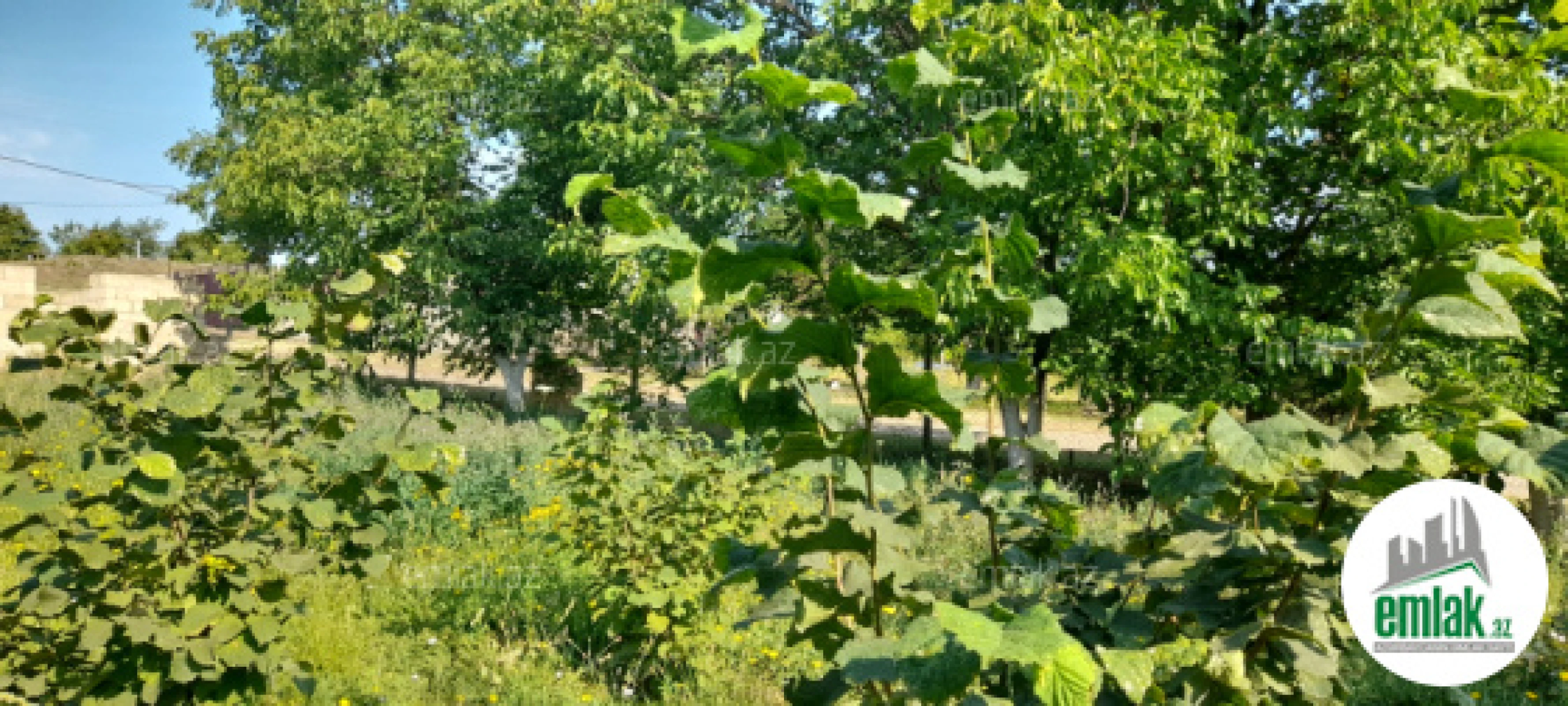 Satılır torpaq sahəsi 10 m²