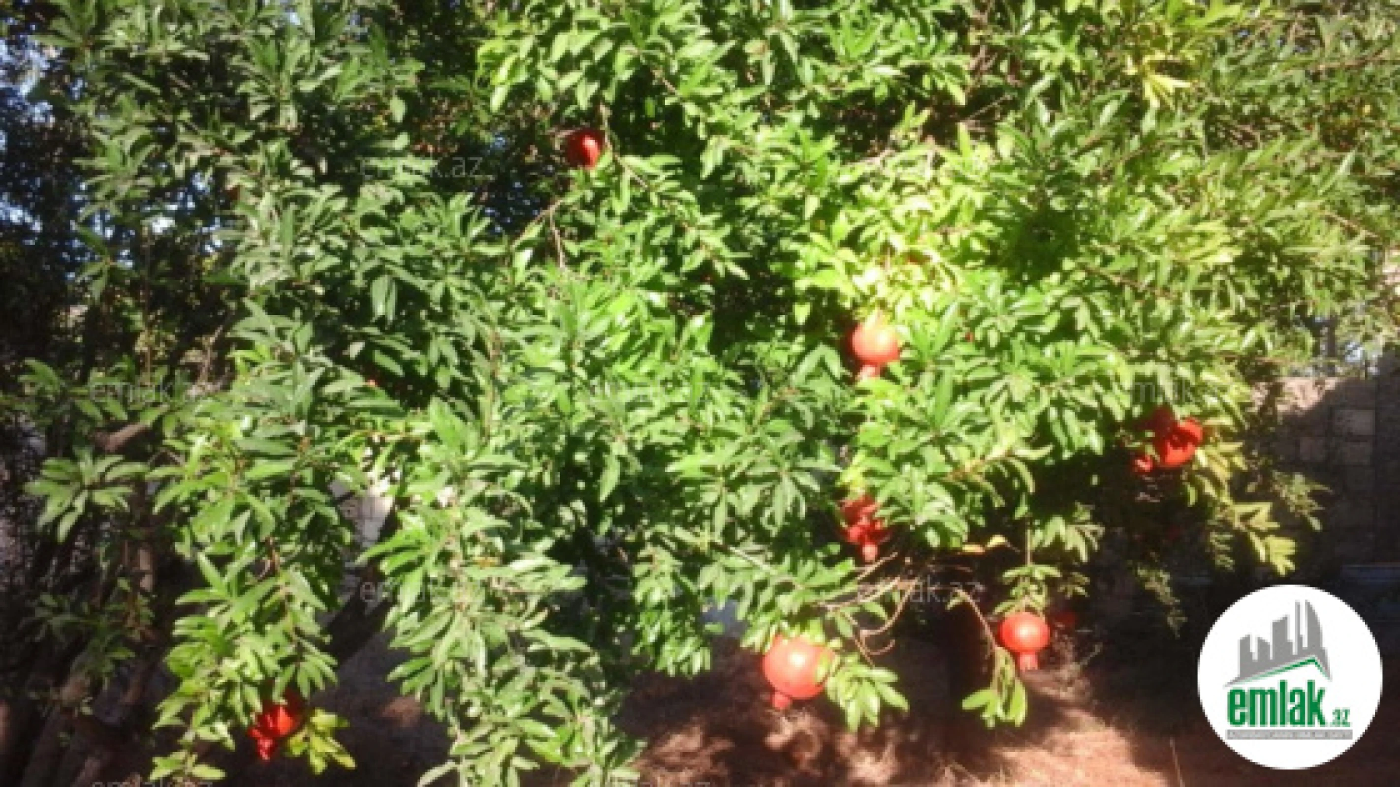 Satılır 3 otaqlı mənzil 60 m²