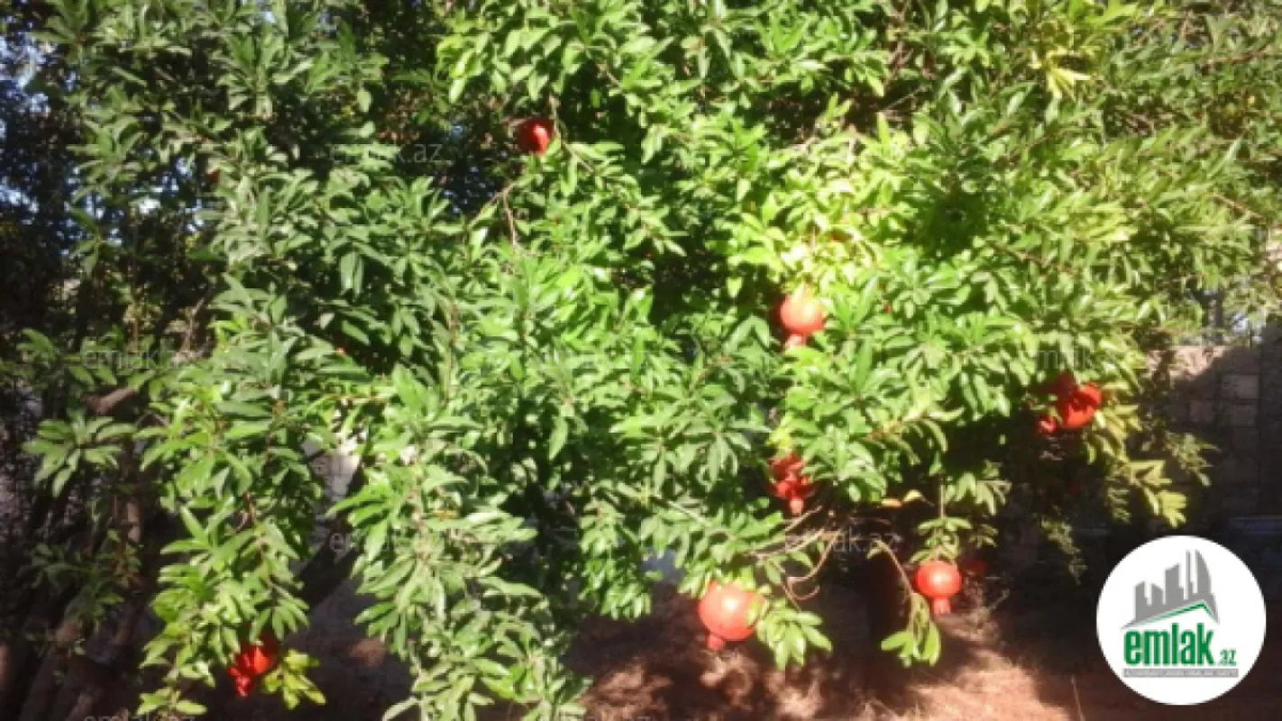 Satılır 3 otaqlı mənzil 60 m²