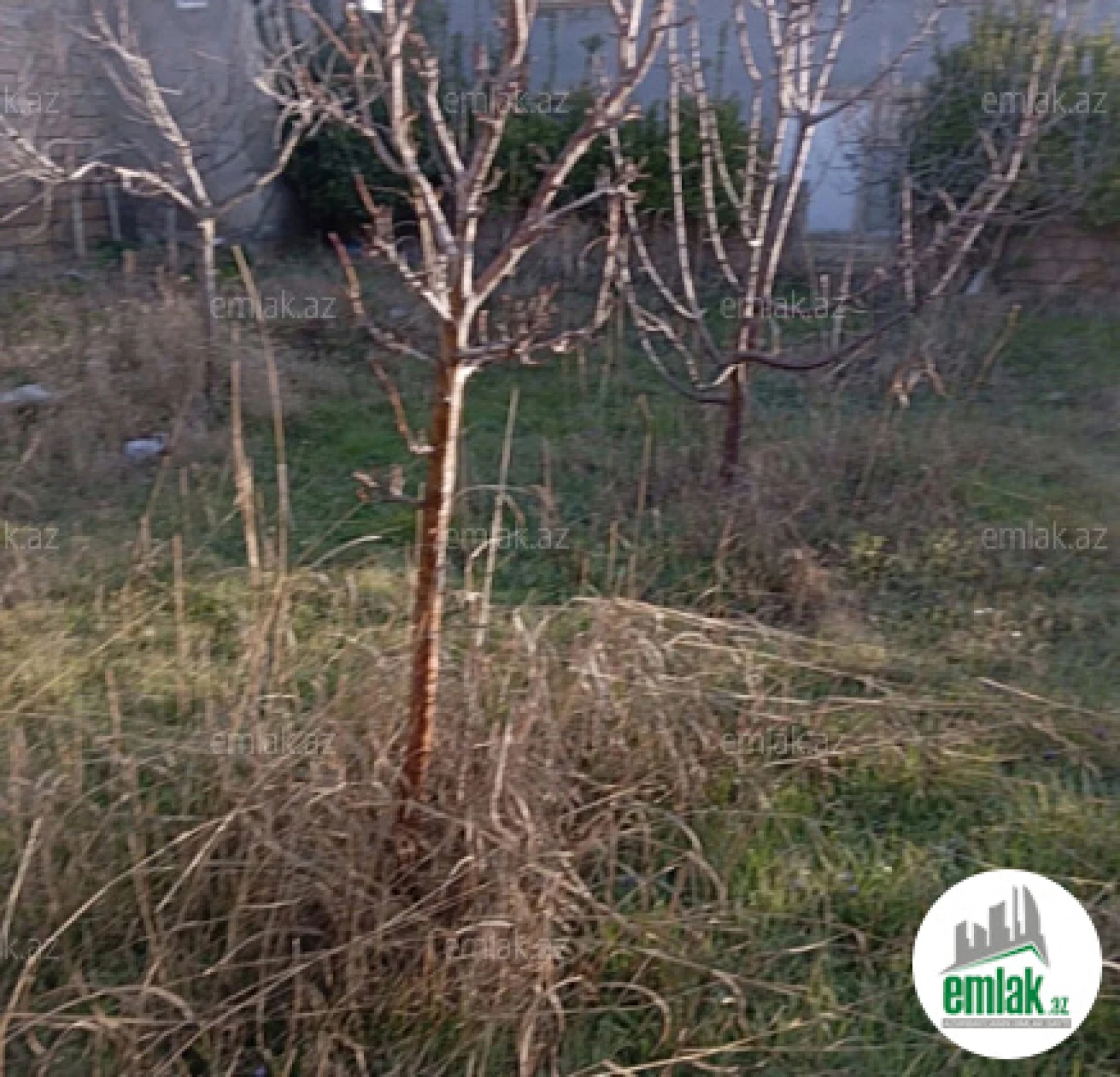 Satılır 6 otaqlı mənzil 6 m²